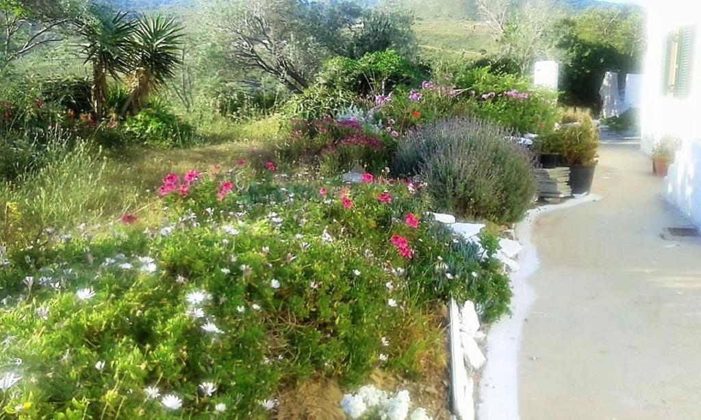 Вилла Avgoustis' Stone House Otzias Экстерьер фото